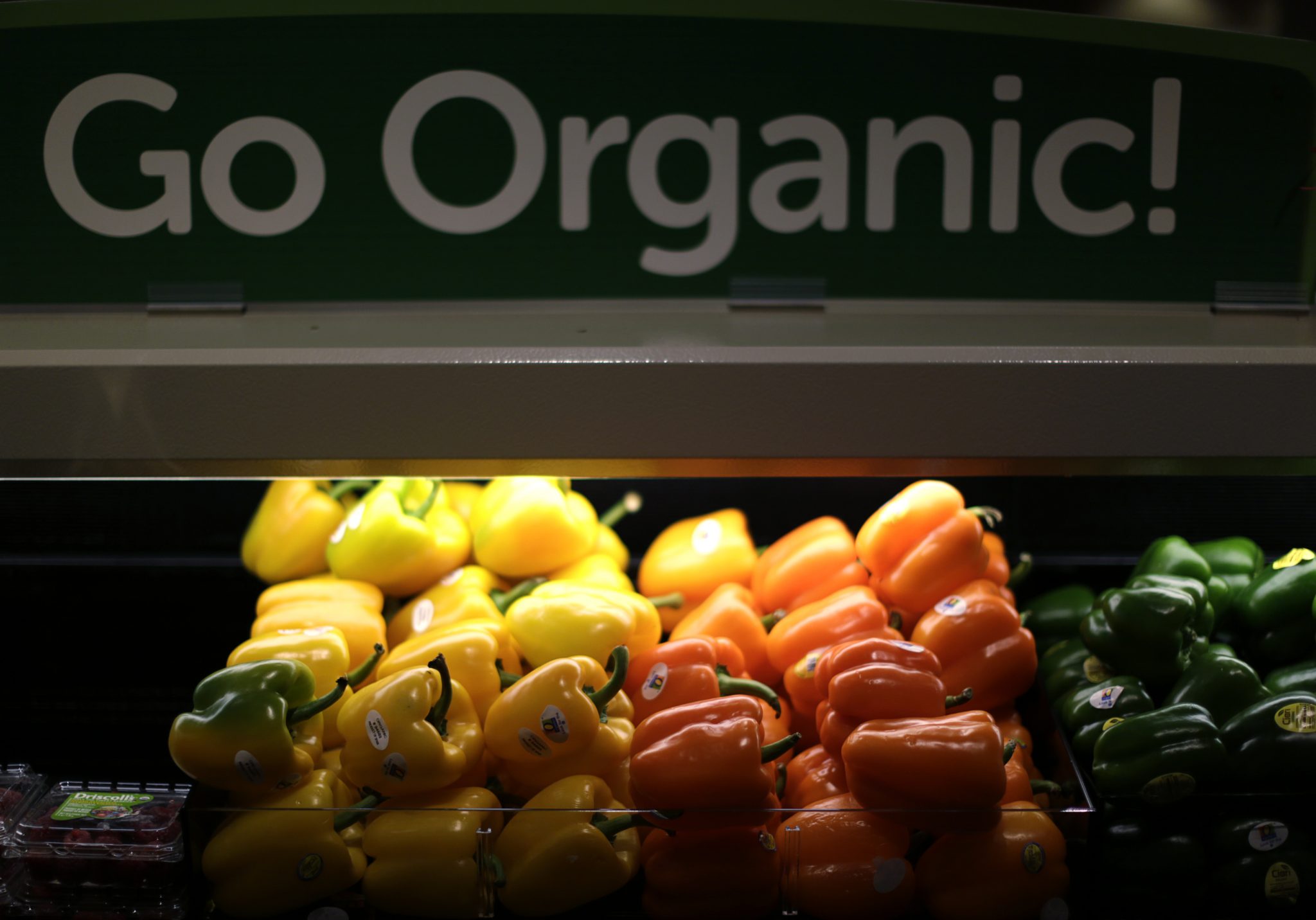 Photo of Organic Foods: Has It Got Something Or Is It Just Hype?