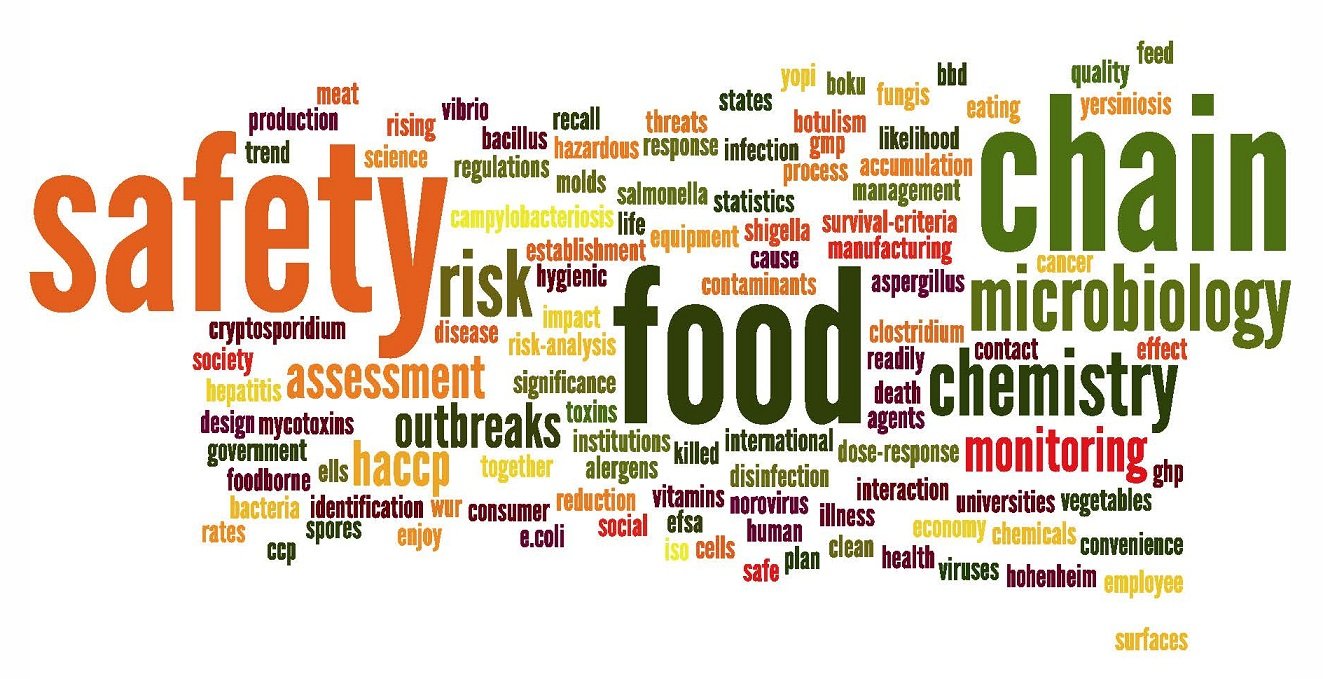 wordle_new4.jpg (1323×679)