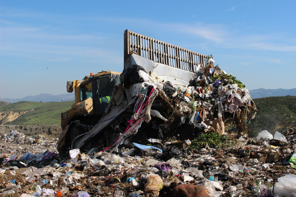 Photo of The Automobile: Profit and Status, Waste and Pollution