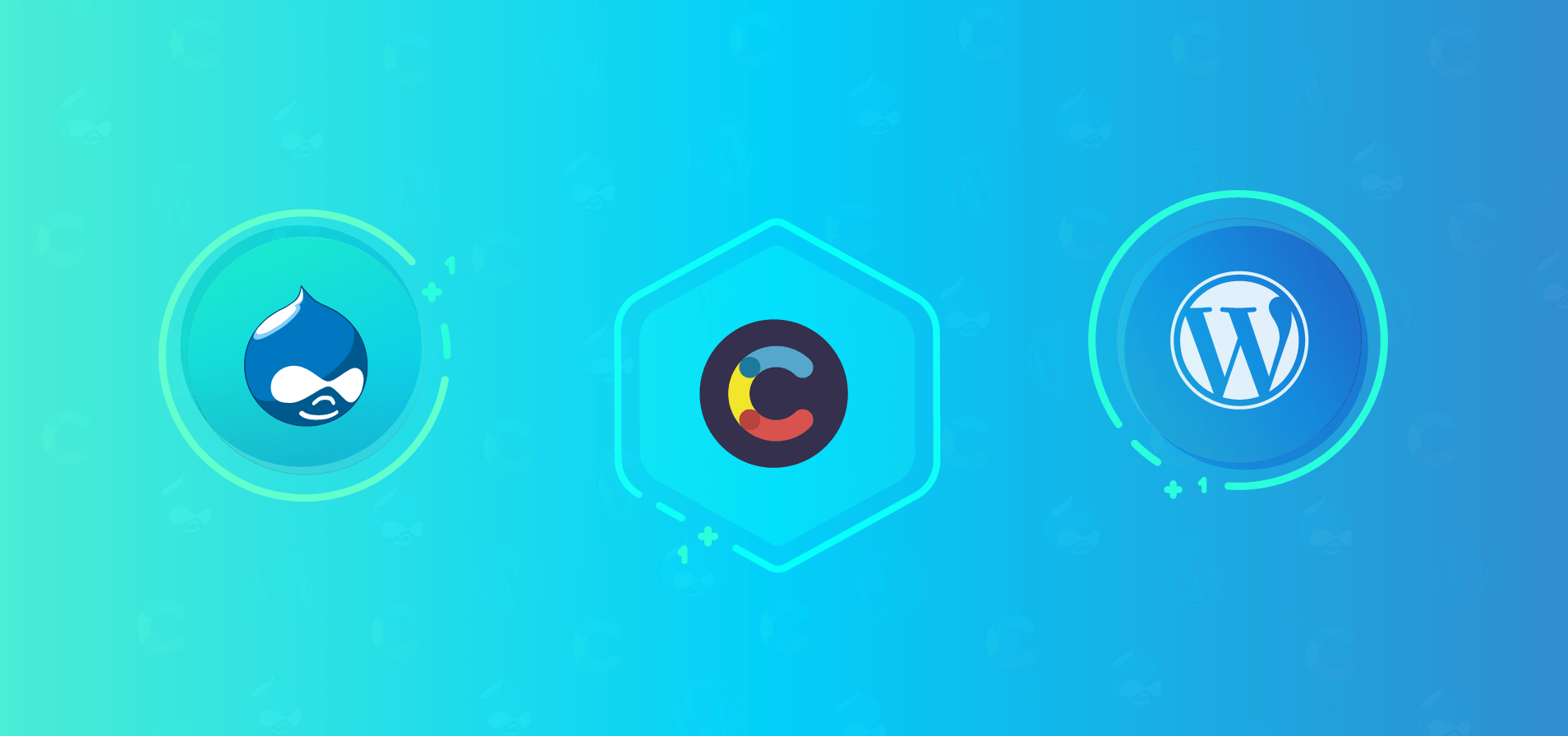 Photo of WordPress Vs Drupal: The Great Debate