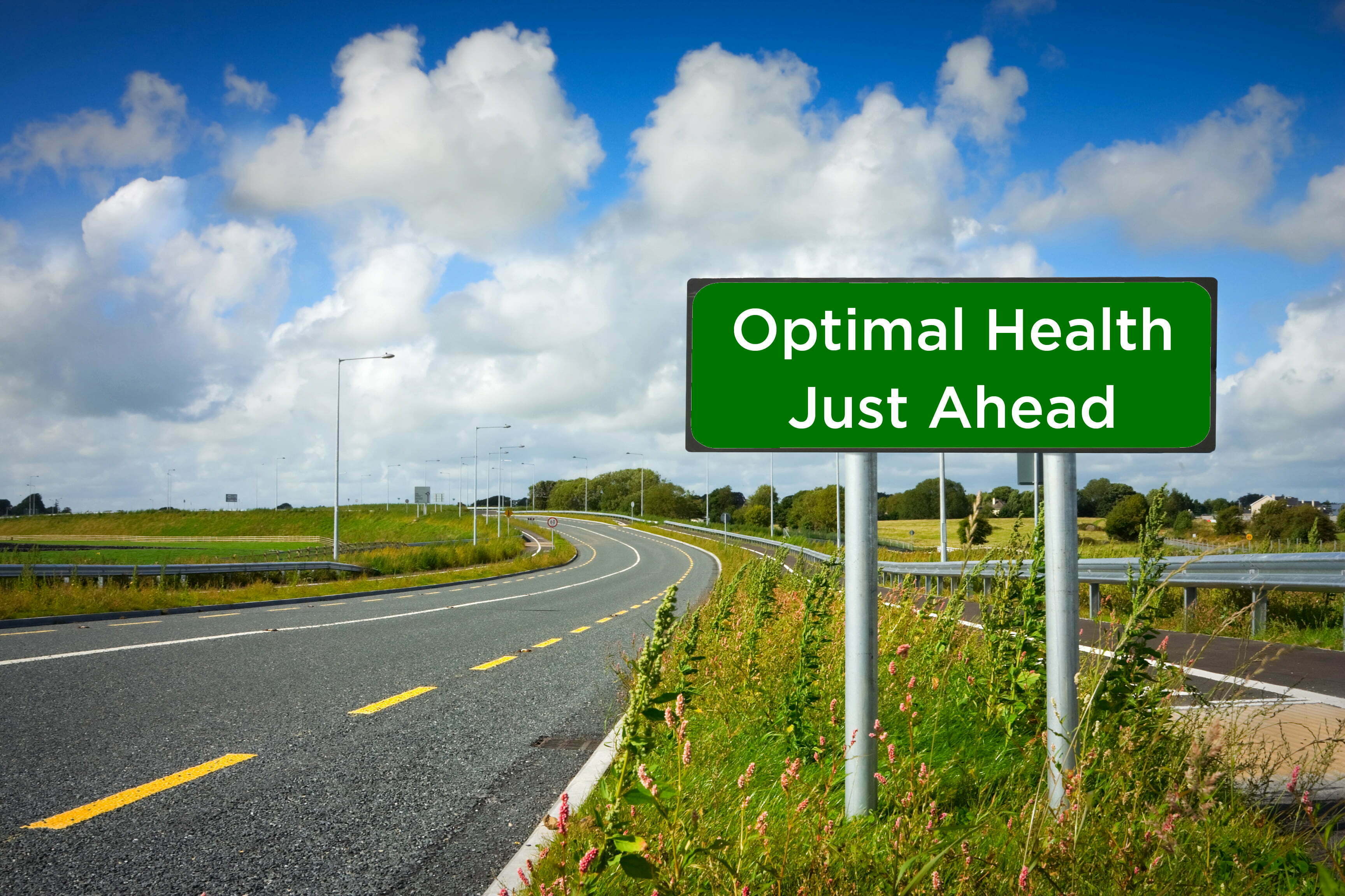 Photo of Five Secrets for Optimal Health