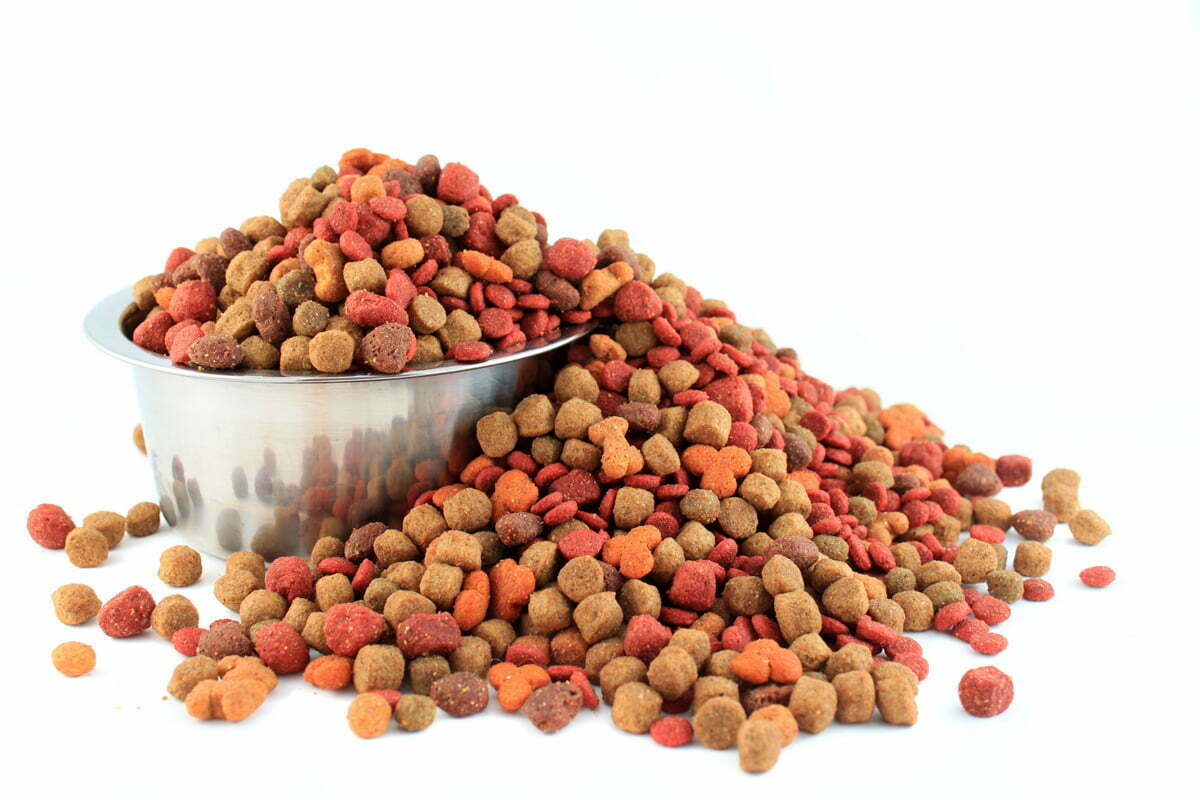 dog-food.jpg (1200×800)