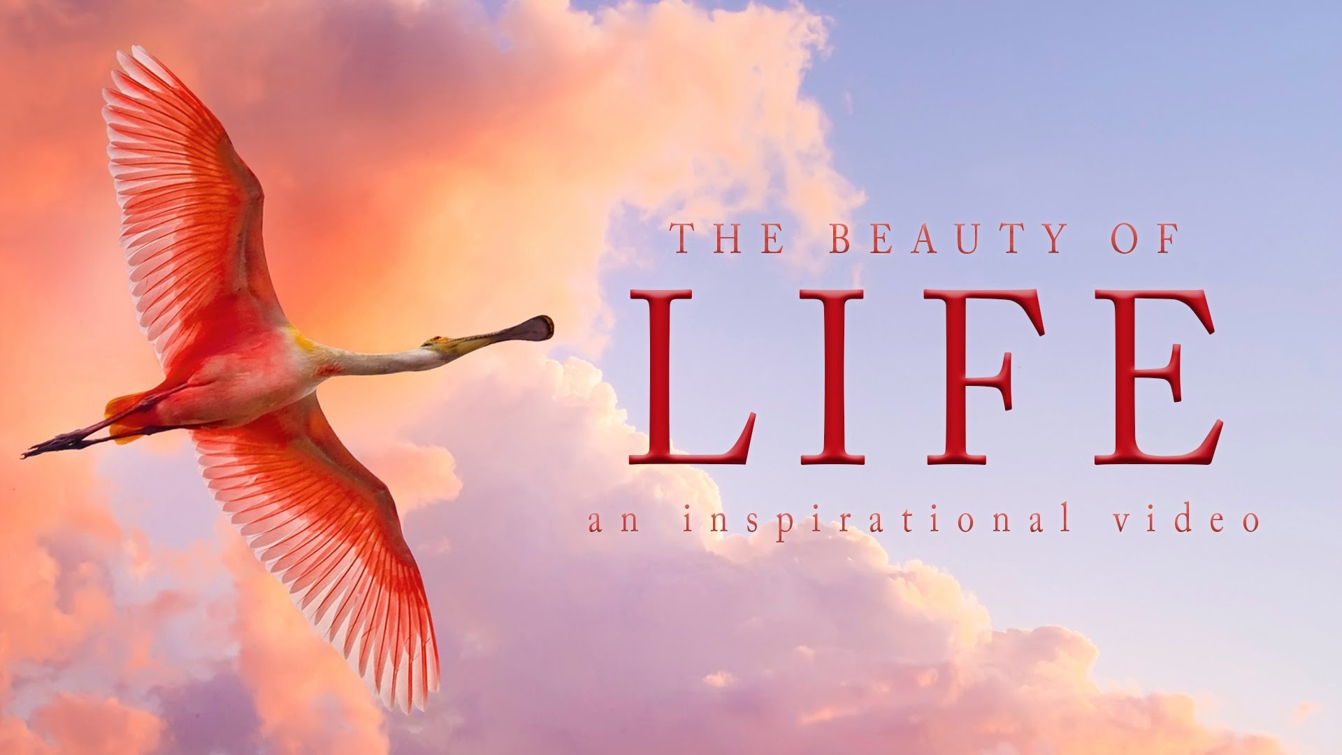 Photo of It Is Your Birthright To Live A c!