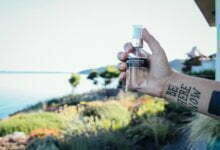 Photo of Rawsome Beauty: Luck of the Draw or Within Reach of All?