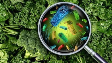 Photo of What Is Food Poisoning and How Should We React If Poisoned?