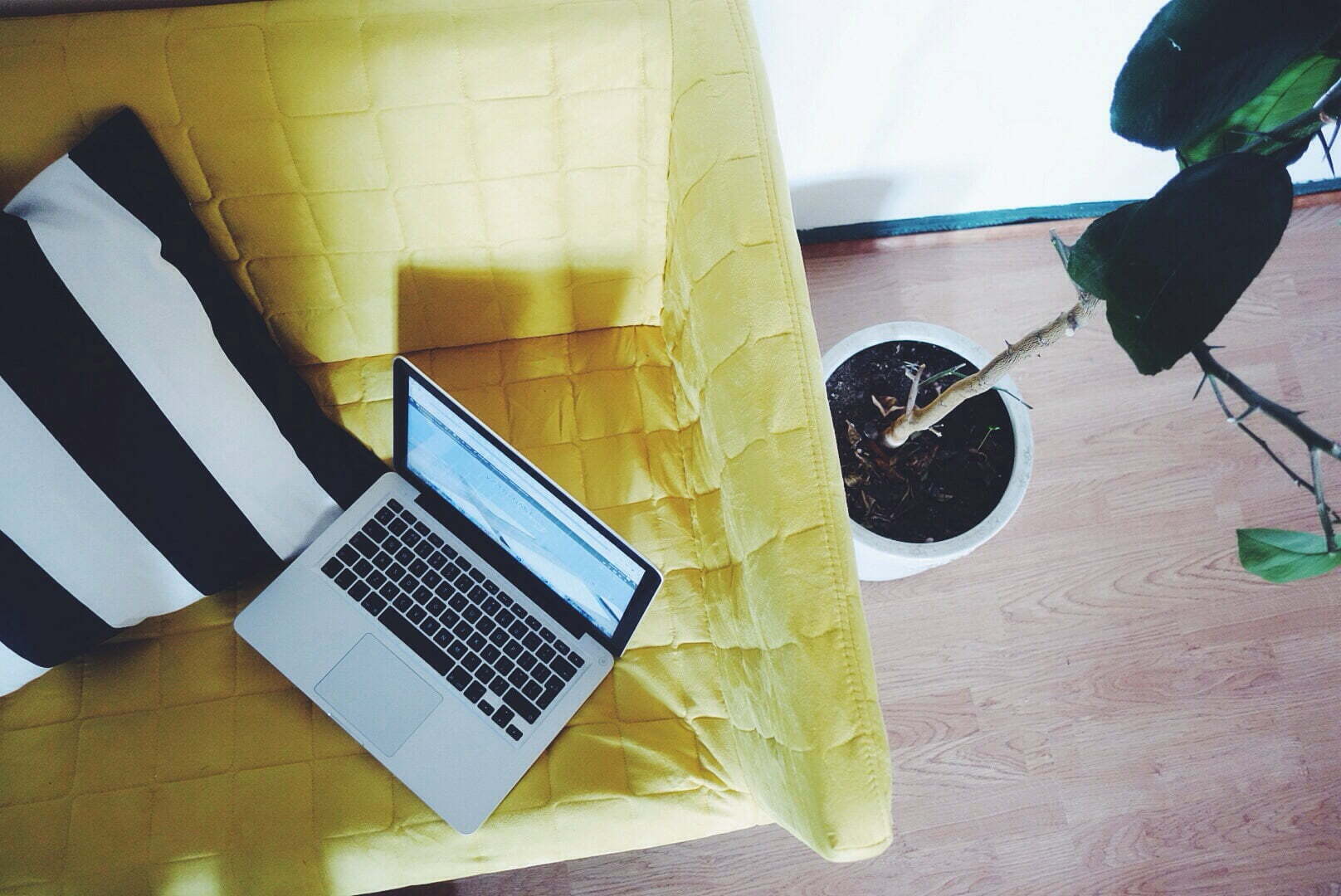 Photo of Becoming a Blogger Is Simple and Fun