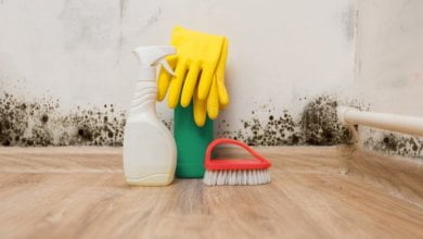Photo of Hidden Signs of Mold Growth in Your House