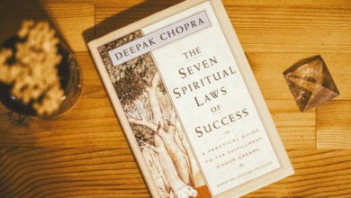 Photo of The 4 Laws of Success