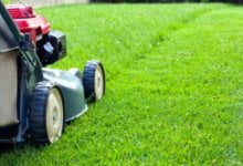 Photo of What are the advantages of Professional Lawn Maintenance Services? 
