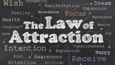 Photo of Law of Attraction – Cooperative Reality