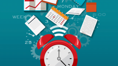 Photo of Complete Study Guide for WordPress Website Building