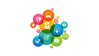 Photo of A Critical Review of the WP Syndicator WordPress Plugin