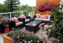 Photo of DIY Terrace Gardening, Step by Step