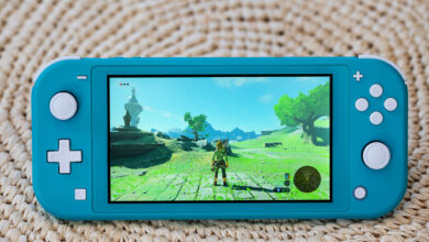 Photo of Nintendo Switch Lite Review