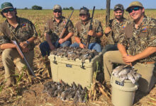 Photo of How to Get Started Dove Hunting