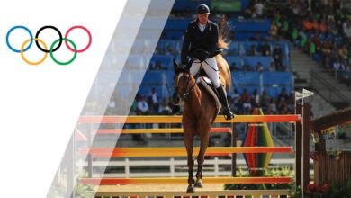Photo of Olympic Jumping Horse – How to Train Your Horse to Jump