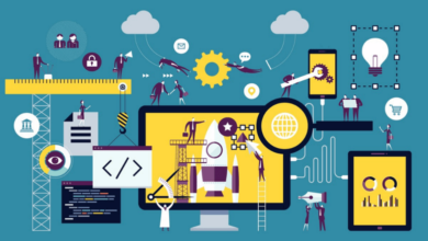 Photo of Information System Management Career Description